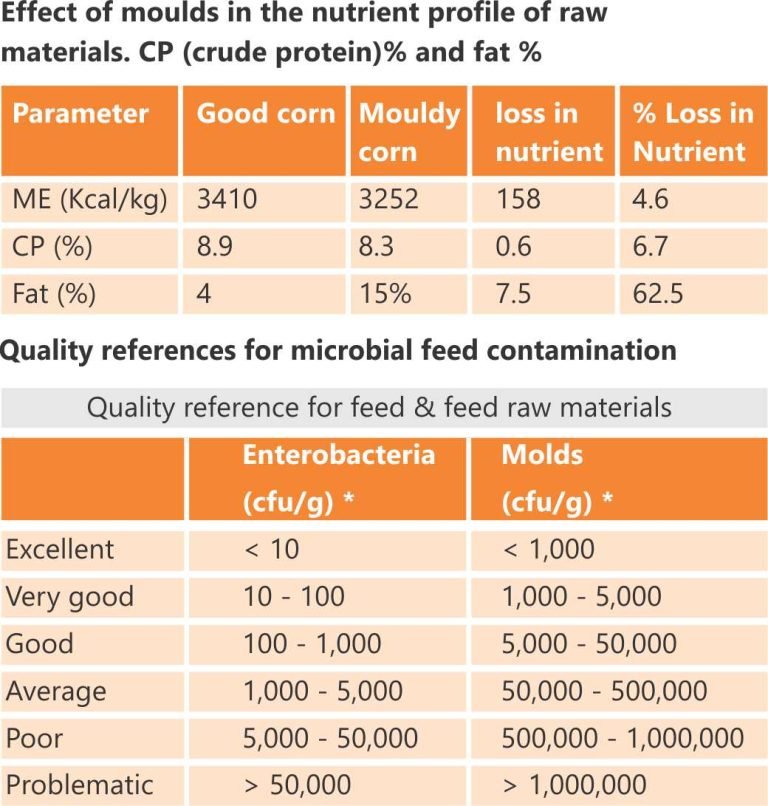 Why Do You Want to Product Test Handbags :Ensuring Durability and Safety