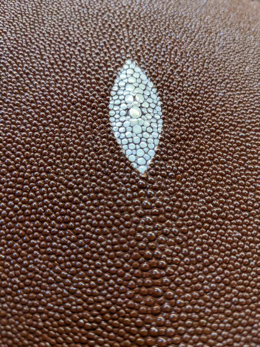 What is Fish Leather: How it’s Made and Where?